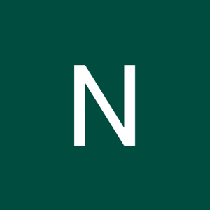 Nusrat Meerja logo