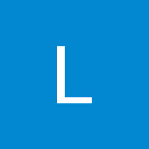 LeeJiN Kim logo