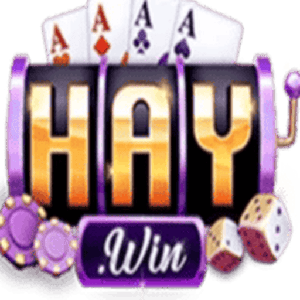 HAYWIN