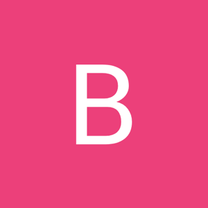 Bharegi logo