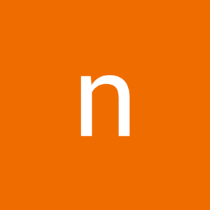 n Singh logo