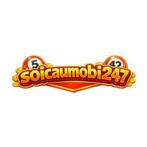 Soi Cầu Mobi 247 logo