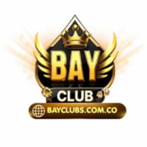 bayclub logo