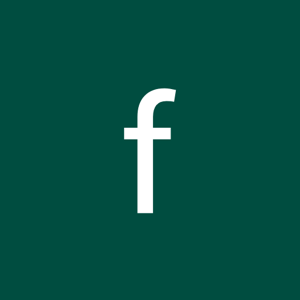 fire work logo