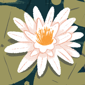 Aurora logo