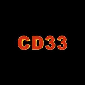 cd33