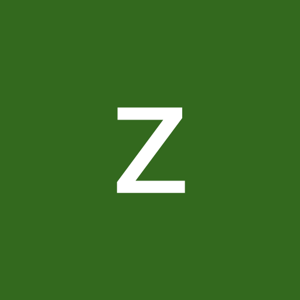 zainab sabir2508 logo