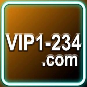 VIP234