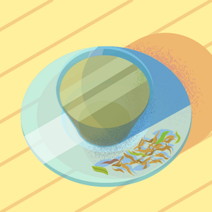 New Place logo