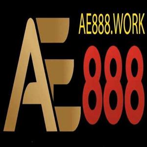 AE888 WORK