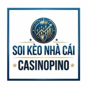 SOI KÈO NHÀ CÁI - CASINOPINO