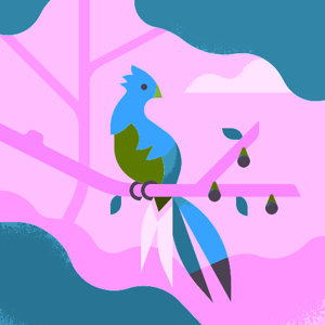 kairvey logo