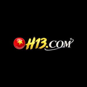 H13 logo