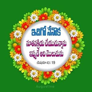 Mallineni Mastanrao8 logo