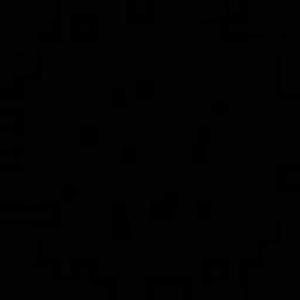Rashi Rjpt logo