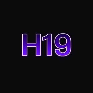 H19