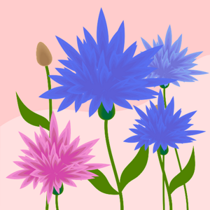 Pihoo Rai logo