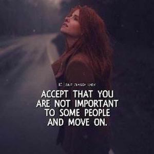 THE SEHLA SHAIKH logo