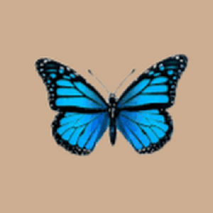 Heart Fin logo