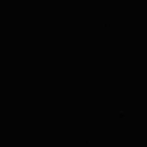 Chan logo