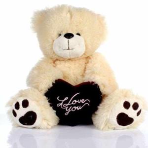 durgasaisri naramamidi logo