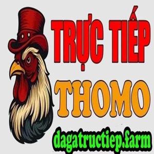 ĐÁ GÀ TRỰC TIẾP FARM