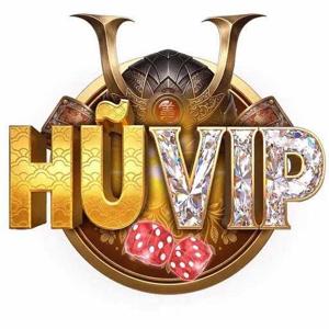 huvip logo