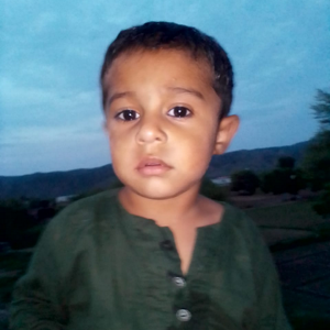 Zaigham Irfan Maqbool logo