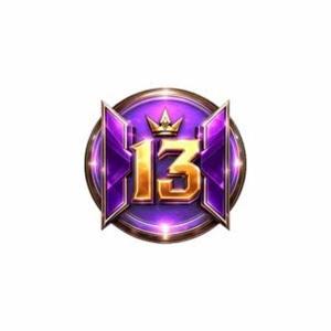 H13