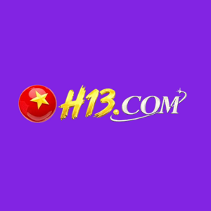 H13
