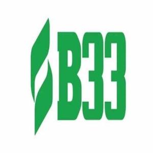 B33