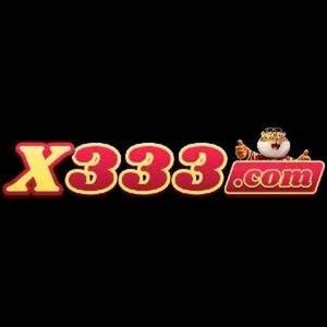 x333