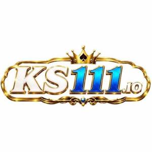 KS111 IO