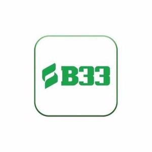 B33