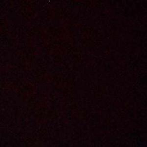 3026 Tanvi Dolas logo