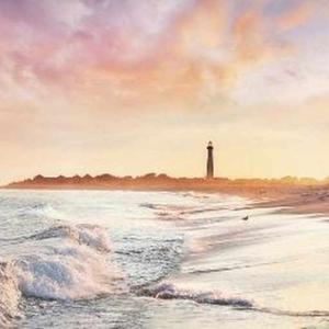 Dr. A. Mary Sowjanya logo