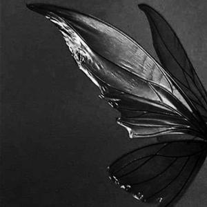 Anushka Bhattacharjee logo