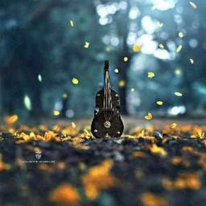 Lovely Princess logo