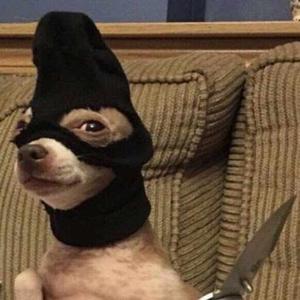 Tanushree Srivastava logo