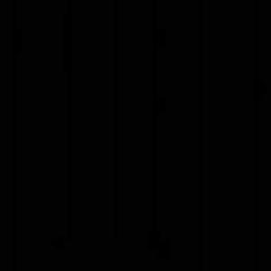 320 Fizza Salman logo