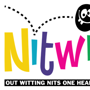 nitwitsla logo