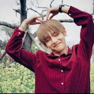 Kim Soo-young
