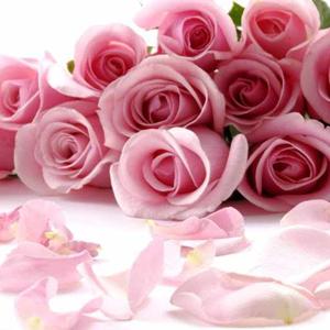 Lourd Bharathy Arokiadass logo