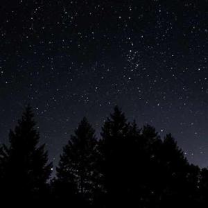 Dahtri pedarapu logo