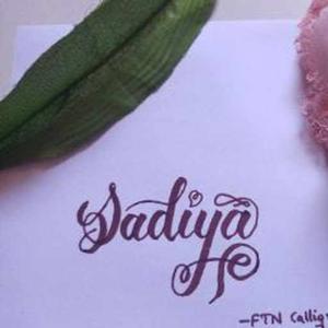 Sadiya Chaudhary logo