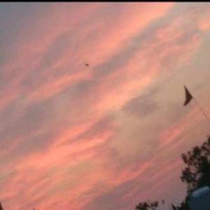 Maimunah Sheikh logo