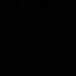 Shehleem Shehzad logo