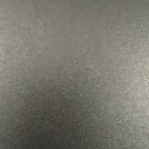 Nisha Chaudhary logo