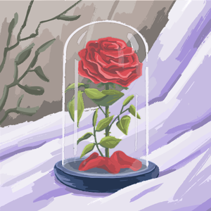 Rose petal