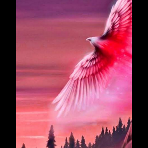 SAI AKSHARA INDURU logo